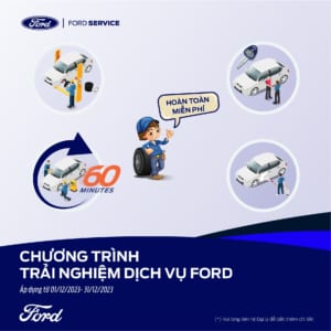 CHĂM SÓC XẾ CƯNG – TƯNG BỪNG ĐÓN TẾT